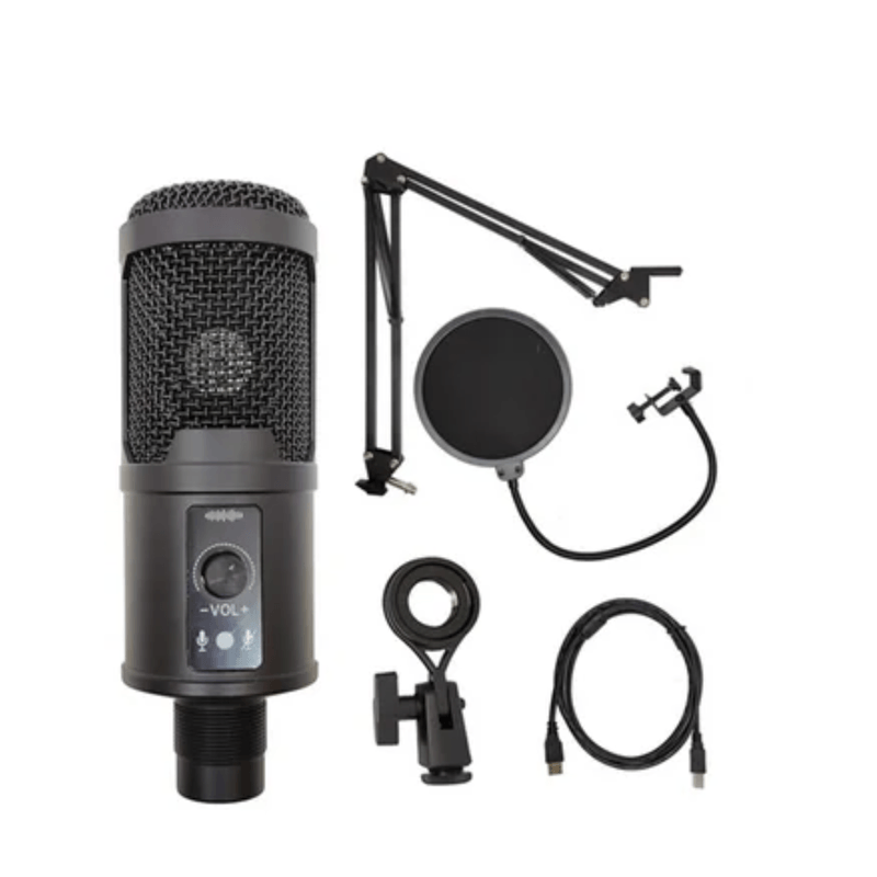 kit-Microfono-Condensador-profesional-BM65-USB-estudio-de-grabacion-PC