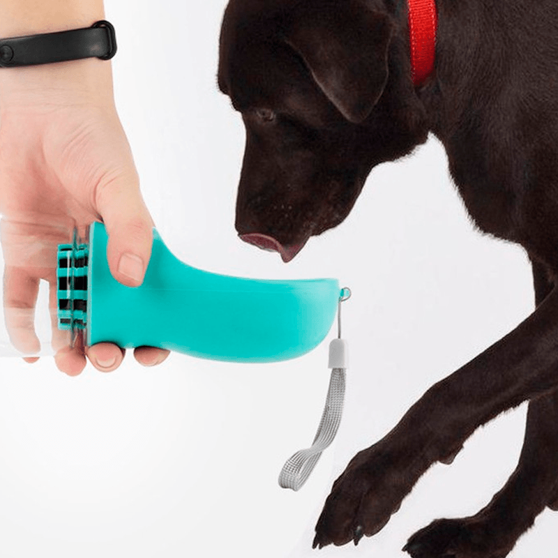 Botella-Dispensador-de-agua-para-Perros-con-Filtro-de-Carbon-Celeste