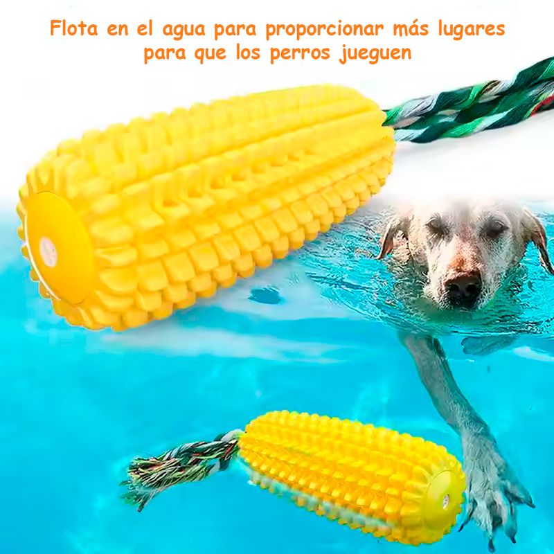 image-d574d009cc7b452fa6723a2164907e04