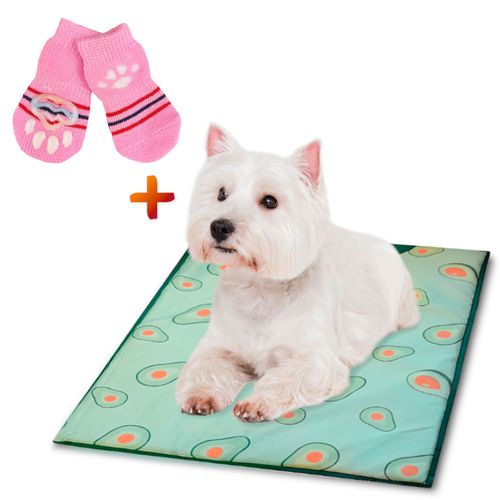 Colchoneta Cama para Perros D56 Palta Y Set de 4 Medias Antideslizantes H