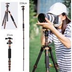 TRIPODE-K-F-CONCEPT-BA225---KF09077v3