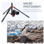 TRIPODE-K-F-CONCEPT-SA254T2---KF09090V1A-NUEVA-VERSION-2023