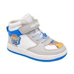 image-446af31cd3de487cacde8c6210860ecc