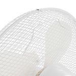 shp-153634-6