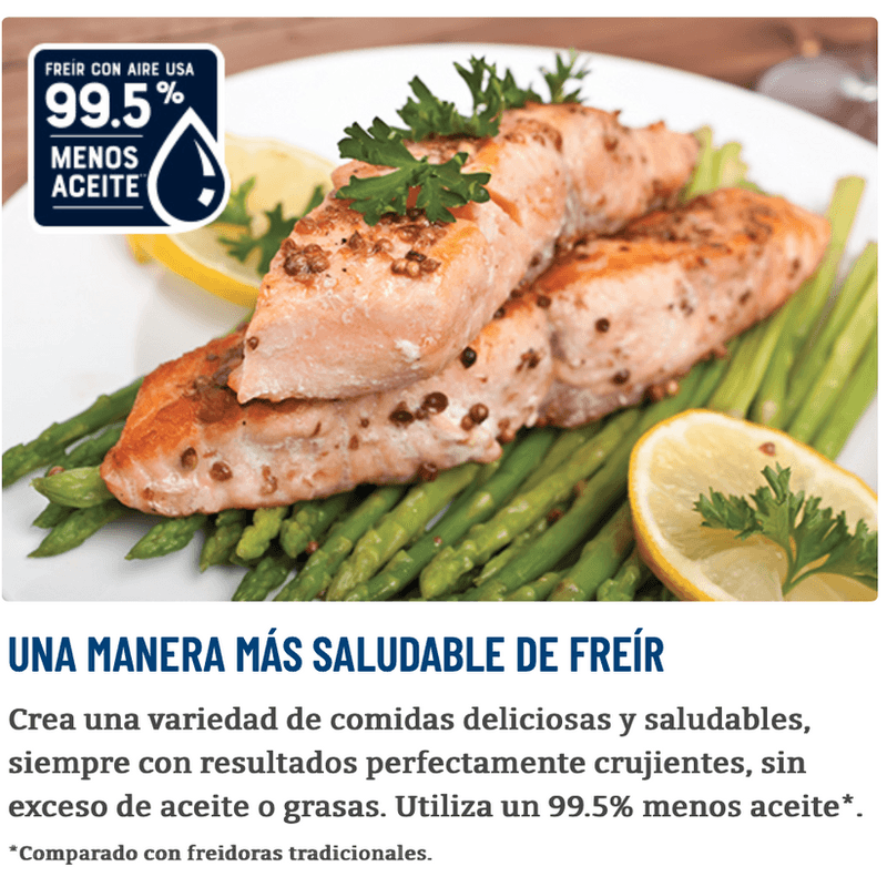 FREIDORA-DIGITAL-OSTER-9-L-Y-6-PROGRAMAS-DE-COCINA-CKSTAF90D