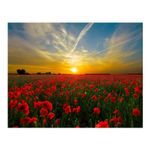 Sunset-in-the-field---Maka---Diamond-paintings