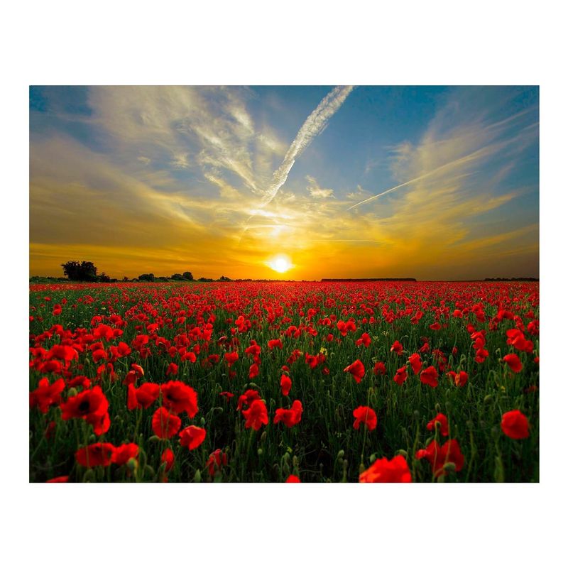 Sunset-in-the-field---Maka---Diamond-paintings