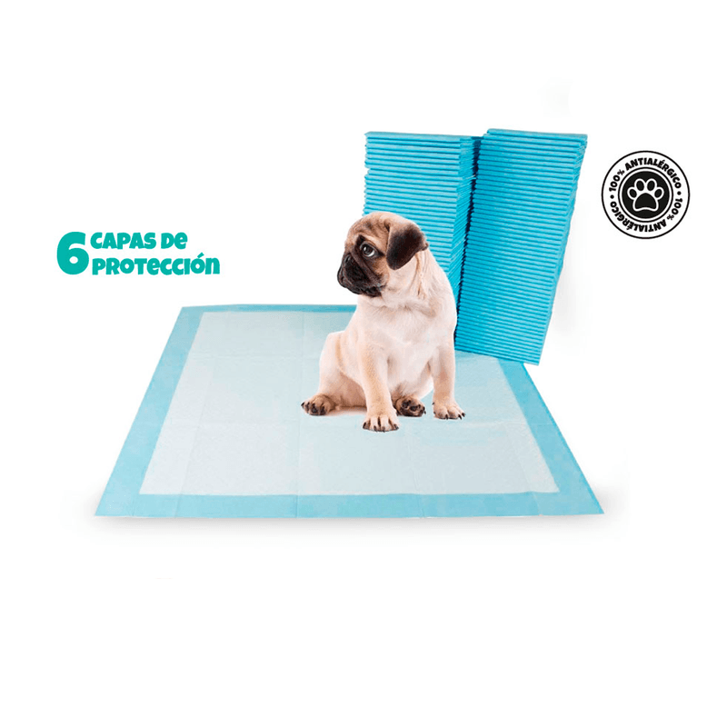 Pañales-para-Piso-para-Perros-Absorbentes-Desechables-40-unid