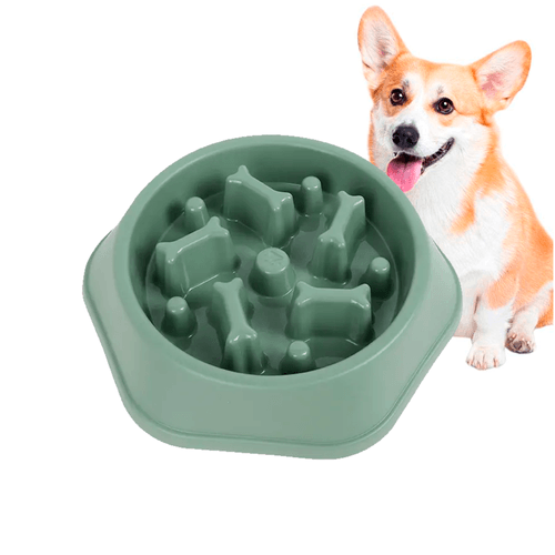 Plato Antiansiedad Para Perros Modelo Huesitos – Verde