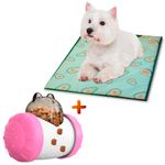 Colchoneta-Cama-para-Perros-D56-Palta-Y-Juguete-Dispensador-Rodante-RS