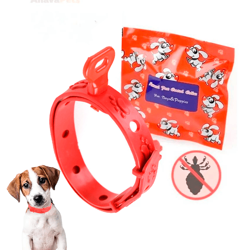 Collar Antipulgas Graduable para Perros pequeños y medianos