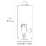 TERMOTANQUE-76L-RHEEM-GLP