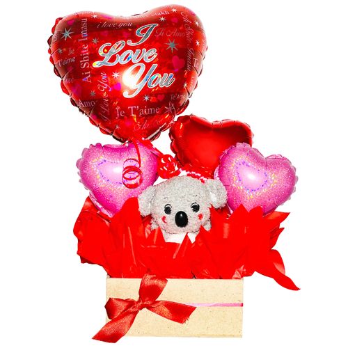 Caja Chica + Peluche + Globos GLOBILANDIA