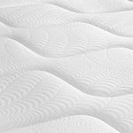 image-d251849724f740b88b68c9aea8a13f03