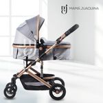 COCHE-CUNA-MOISES-DE-LUJO-«COMFORT»-GRIS