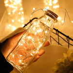 Cadena-de-Luces-LED-en-Alambre-8m