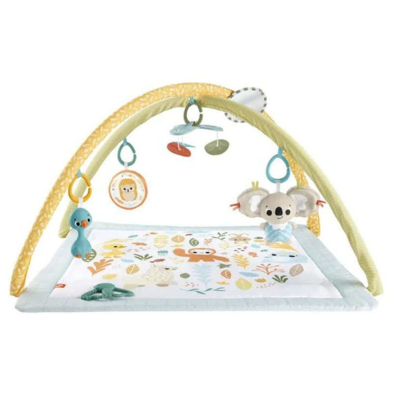 Fisher-Price-Gimnasio-Mis-Primeros-Sentidos