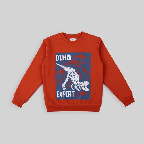 Polera Para Niño Circus Fl Solid