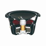 Subwoofer-Serie-Champion-Pioneer-TS-W3004D4