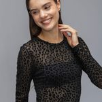 image-4b51da77c4c747409d703e492ee1e2d9