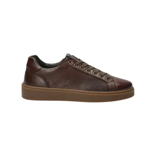 Zapatilla Para Hombre Cuero Forte Marrón Rockford