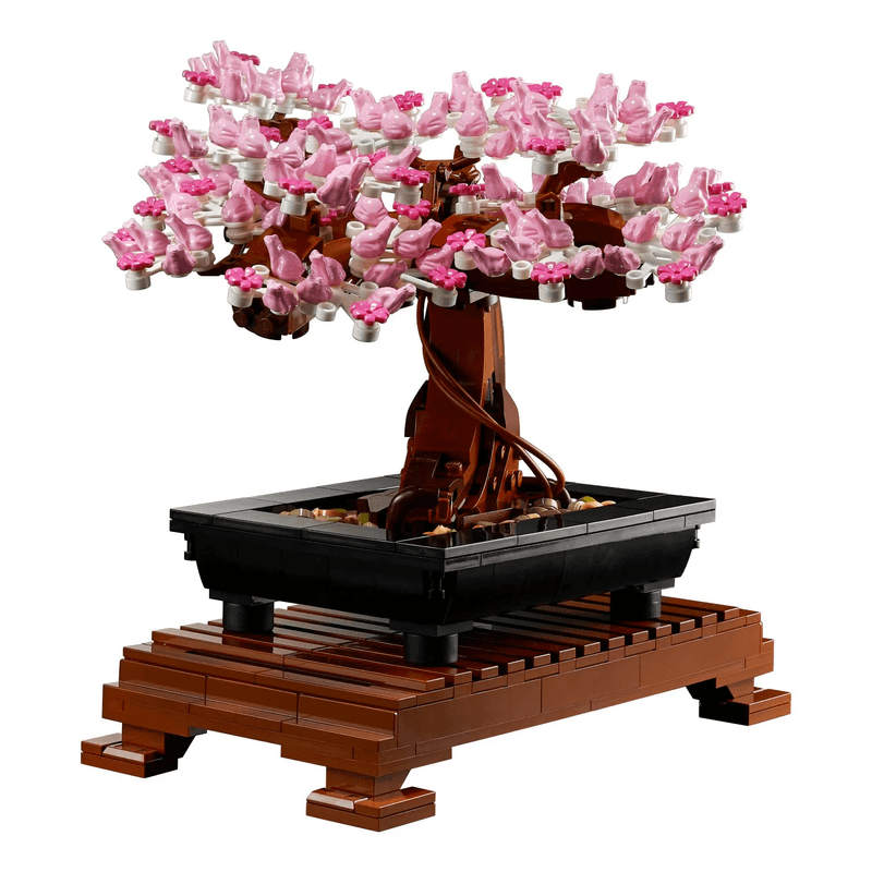 Bonsai-10281