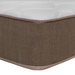 shp-1670551-3