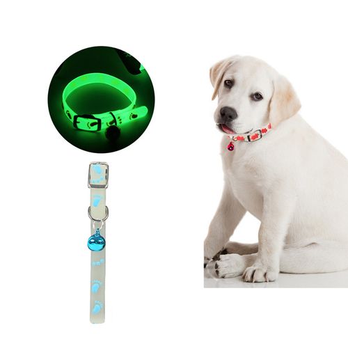 Collar de Goma para Perro o Gato Celeste