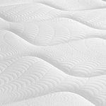 shp-1670626-2