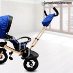 image-c6154d97256545188ddae79fd948aa71