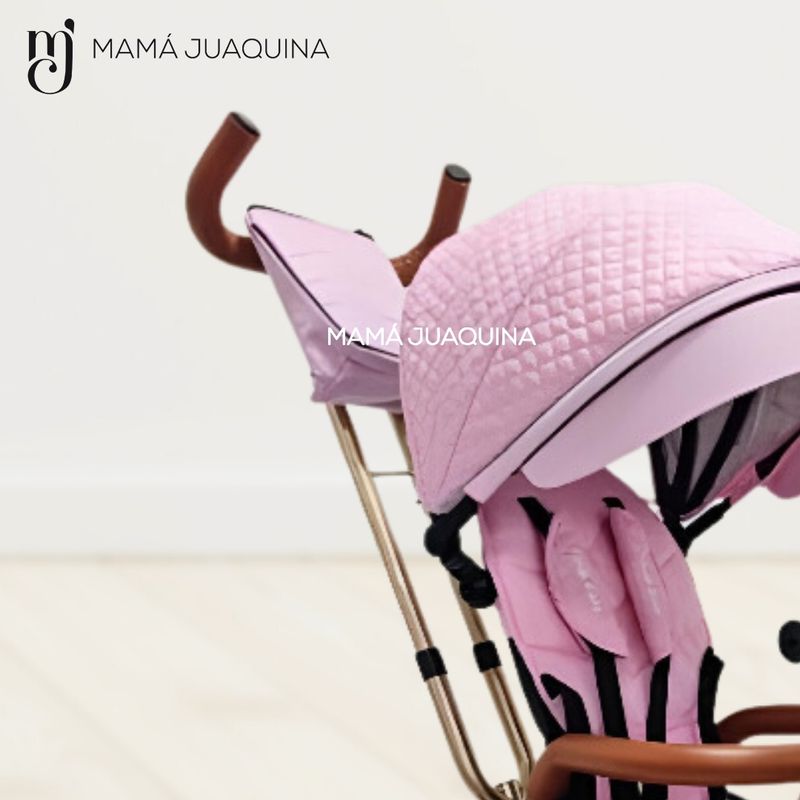 Triciclo-Guiador-«LUCIAN-II»-con-Bluetooth-Rosa