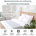 image-a2bd9966a27444ae9a1a0659e0c4141c