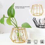 Macetero-Nordico-Florero-para-Decoracion-del-Hogar-Minimalista-Dorado