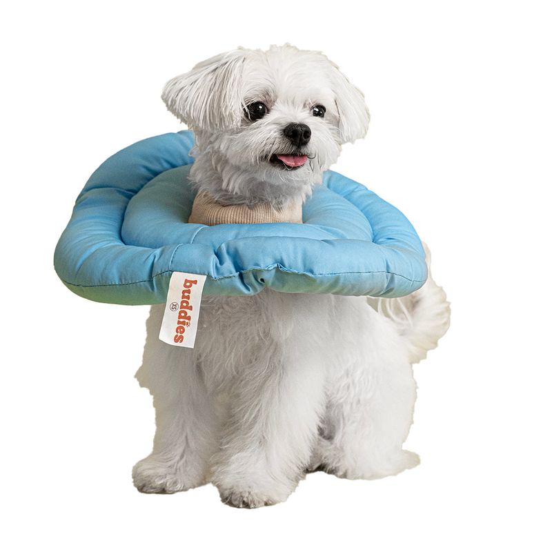 Buddies-Donut-Anti-lamidos-Collar-Isabelino-Azul-L