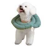 Buddies-Donut-Anti-lamidos-Collar-Isabelino-Verde-M