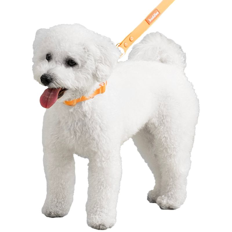 Collar-Para-Perros-Ajustable-Naranja-Talla-XS-Repele-agua-y-suciedad