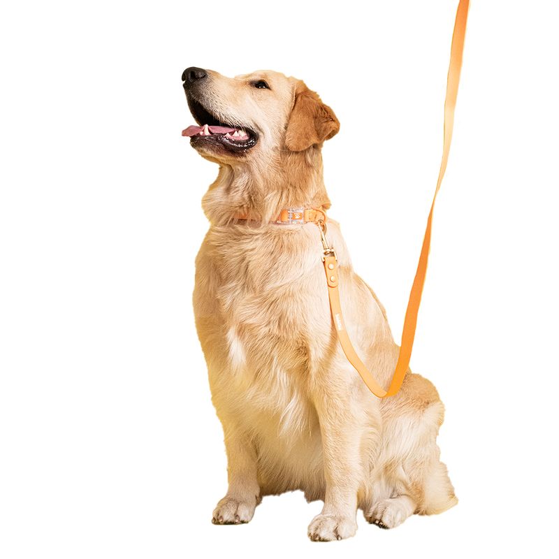 Correa-Para-Perros-152cm-Naranja-Repele-agua-y-suciedad