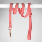 Buddies-Correa-Pvc-Para-Perros-Paseos-Rosado-152cm