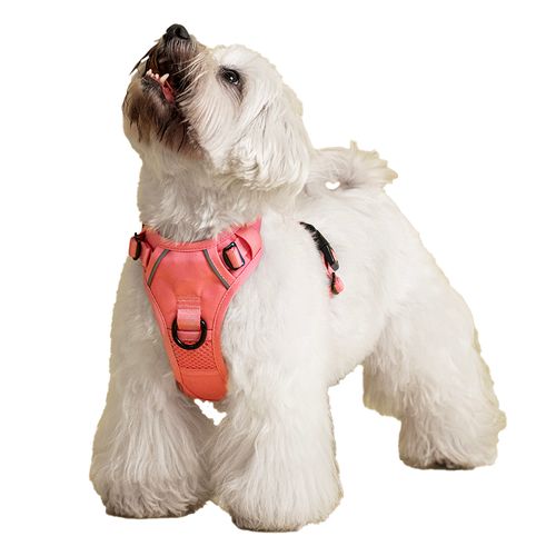 Arnés Pechera Para Perros Ajustable Rosado XS