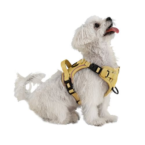 Arnés Pechera Para Perros Ajustable Verde S