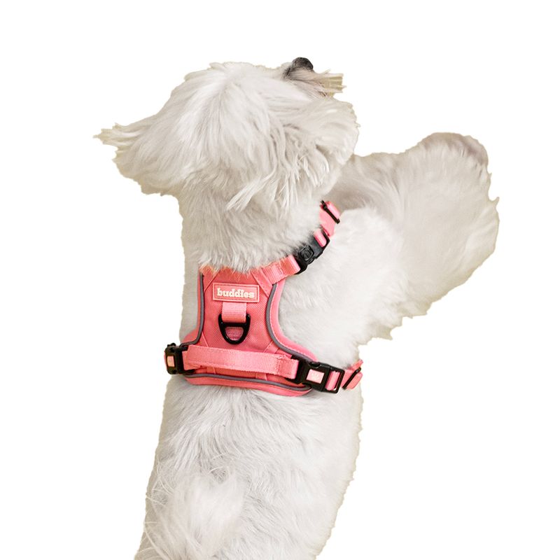Arnes-Pechera-Para-Perros-Ajustable-Rosado-S