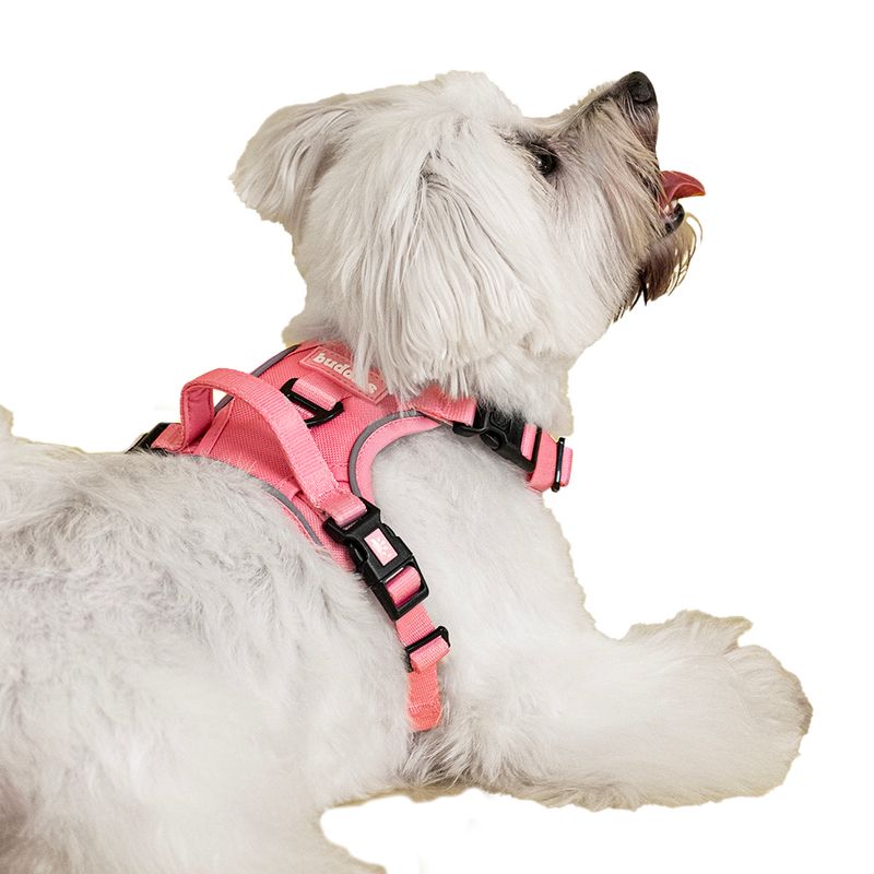 Arnes-Pechera-Para-Perros-Ajustable-Rosado-S