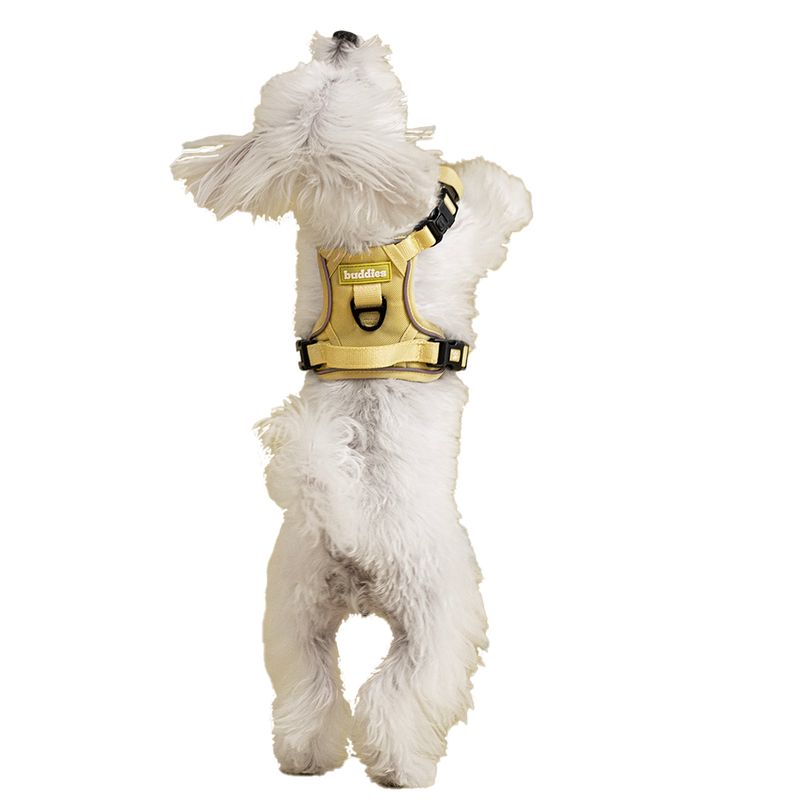 Buddies-Arnes-Pechera-Para-Perros-Paseos-Verde-XS