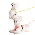 Buddies-Arnes-Pechera-Para-Perros-Paseos-Verde-M