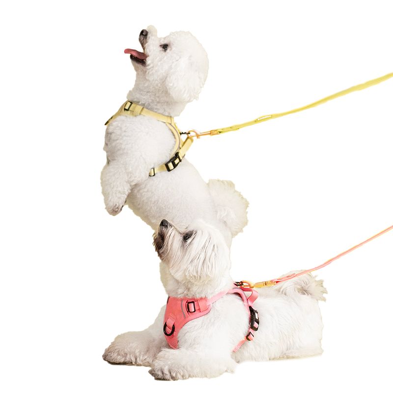 Buddies-Arnes-Pechera-Para-Perros-Paseos-Verde-M