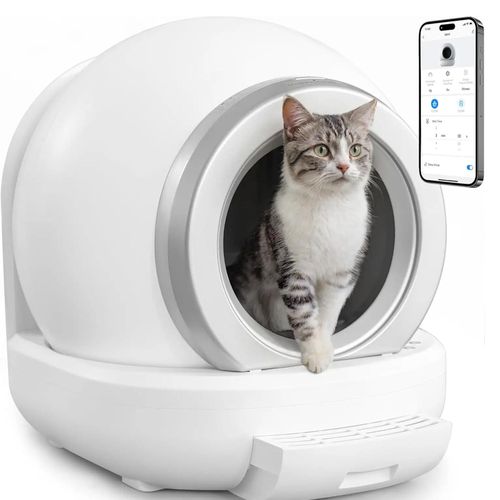 Arenero Automático Smart para Gatos – Amicats