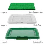 Puppy-Potty-Pad---Baño-para-Perro-y-Gato