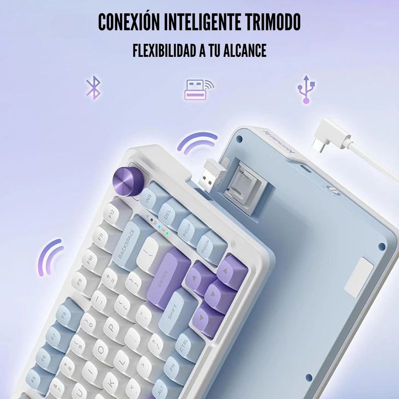 image-e3d9742287964b09b7066aaef49aa8d0