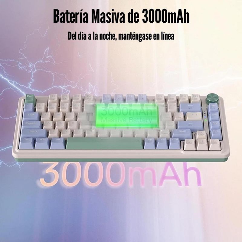 image-3f67545482e24981b064cd4cc758ffe6