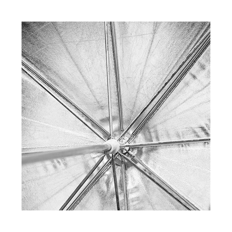 image-dc11dc003996402c8aa521a5b40450e4